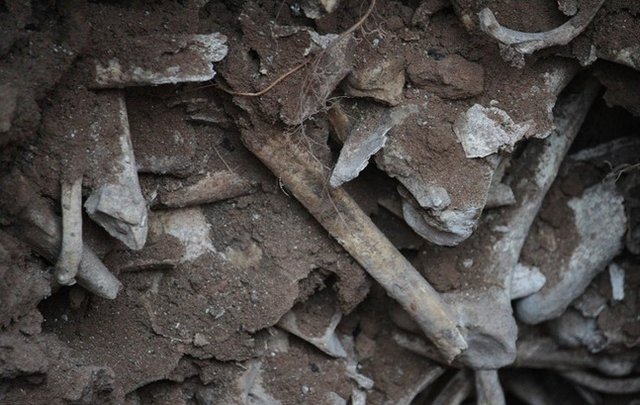 Mass grave discovered in Tabriz requires UN probe into Iran's 1988 massacre
