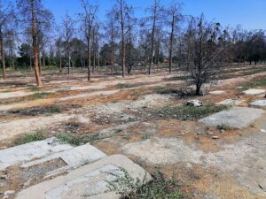 Iran Destroying Graves of Political Prisoners in Behesht Zahra Cemetery